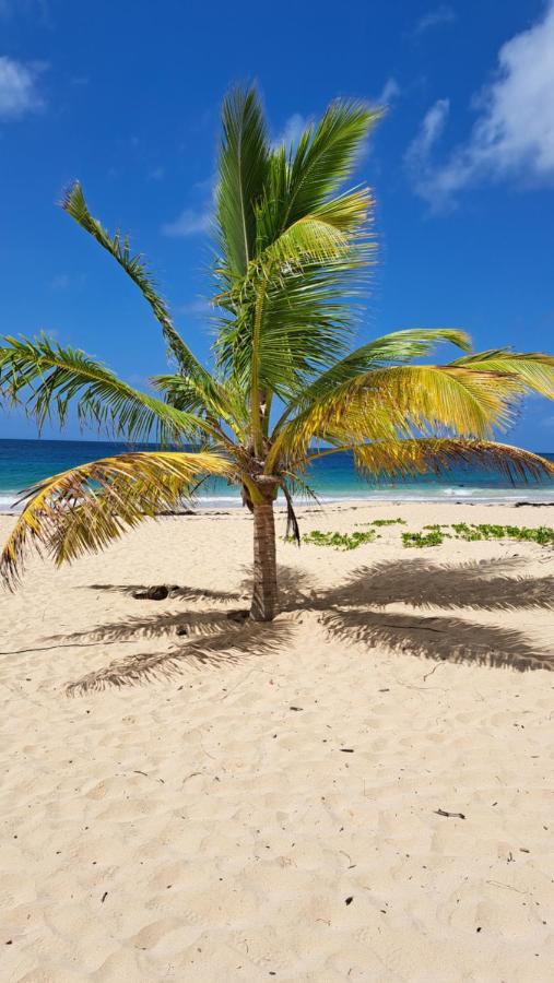 Studio Plage De L'Anse Caritan Sainte-Anne Ngoại thất bức ảnh