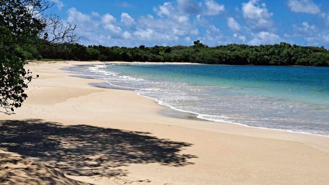 Studio Plage De L'Anse Caritan Sainte-Anne Ngoại thất bức ảnh